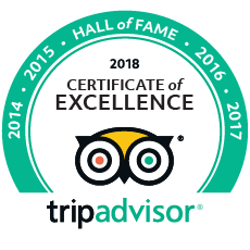 TripAdvisor Certificate of Excellence Hall of Fame award
