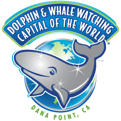 Dolphin and whale watching capital of the world logo