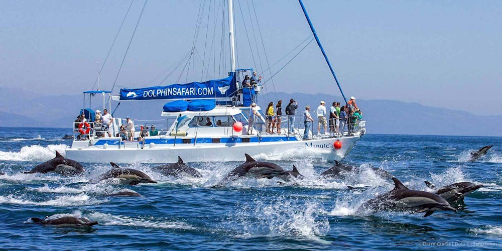 Capt. Dave's catamaran Manute'a and a dolphin stampede
