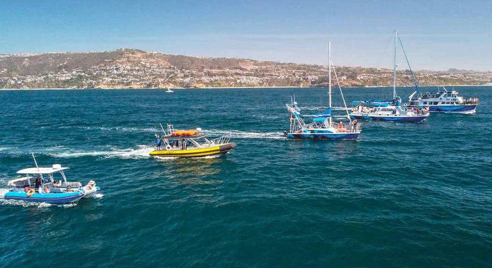 Drone image with 5 of Captain Dave's boats in front of Dana Point coastline.