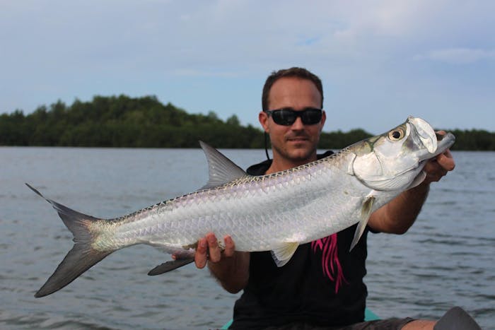 Mangrove Sport Fishing Guadeloupe Advisor