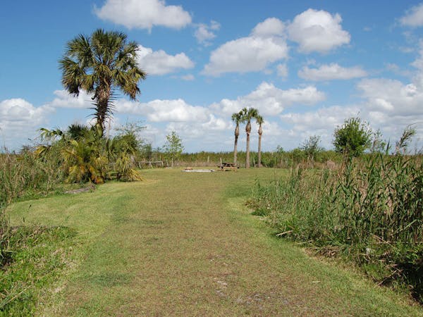 Campsite in the Everglades