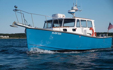 Special Cruise On The Waters Of Cape Cod