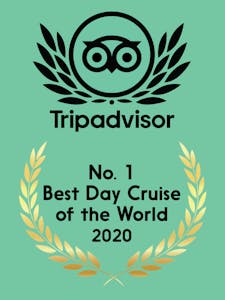 Tripadvisor 2020 award