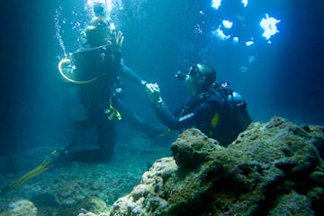 Private dive makes for a unique Maui scuba wedding proposal.