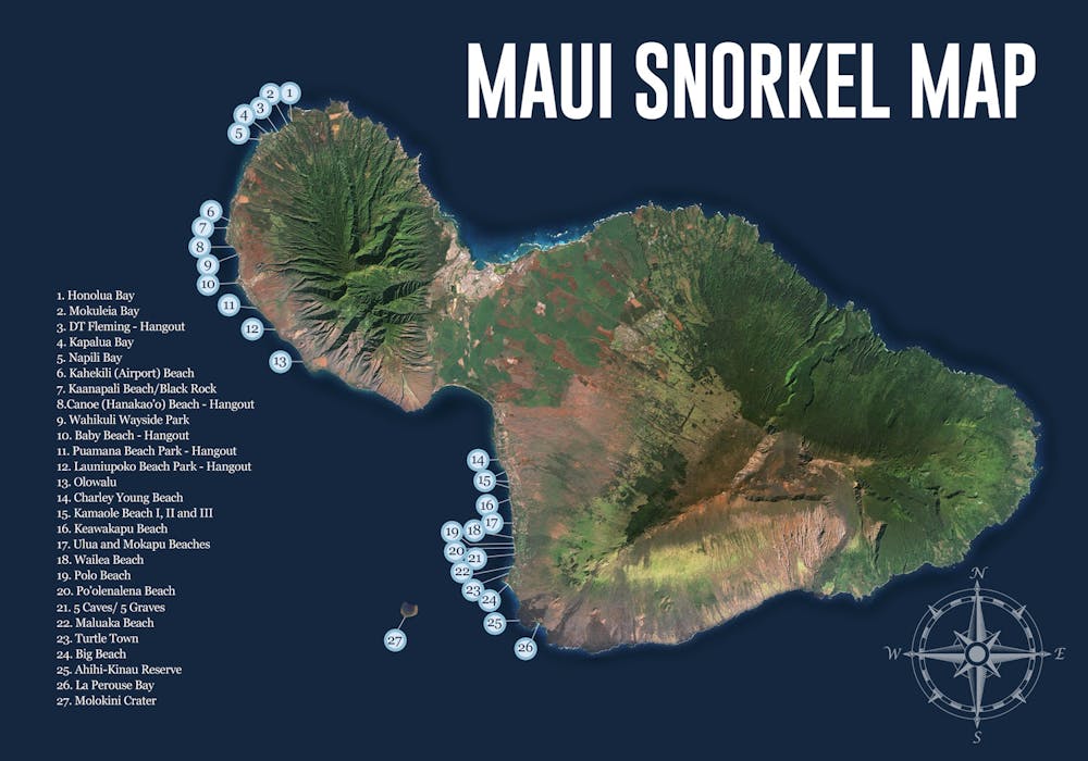 Top 6 Maui Snorkeling Spots Banyan Tree Divers Maui
