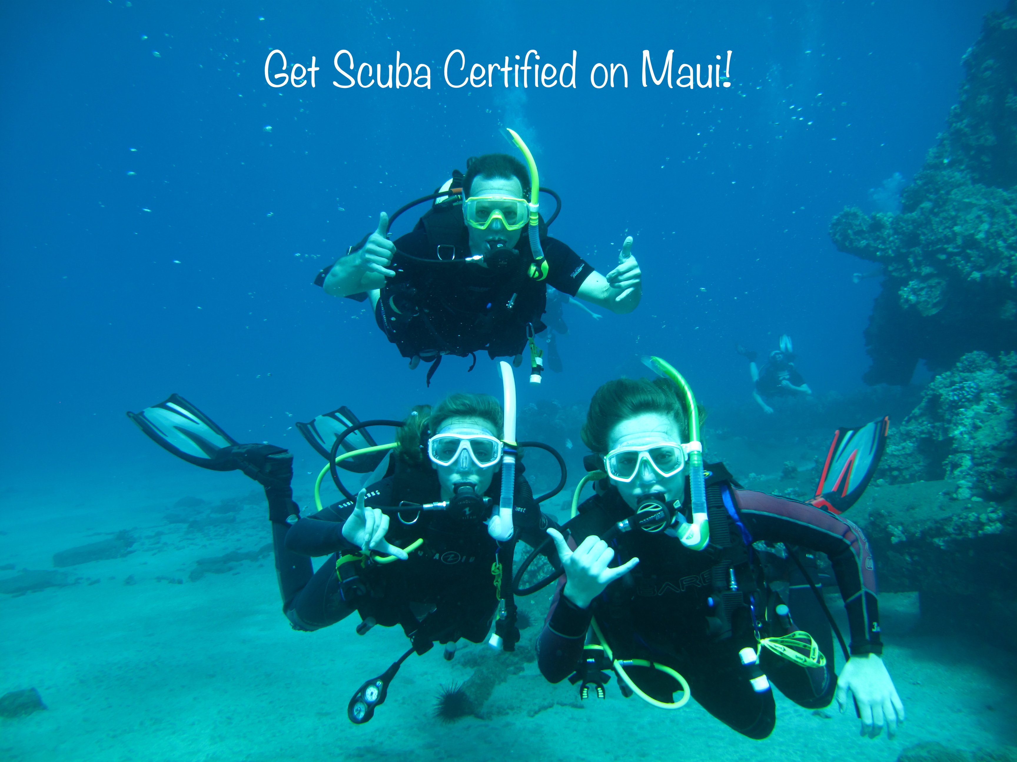 Maui Scuba Certification: How To Prepare For Your Course