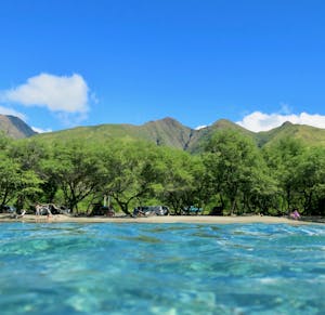 Maui shore diving and snorkeling site with clear water near Olowalu Mile Marker 14.