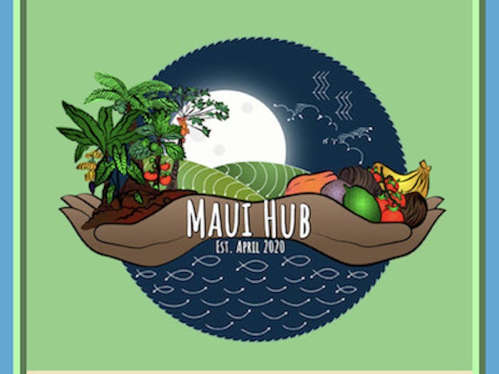 Hawaiian-Owned Maui Businesses