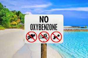 a no oxybenzone sign at the beach