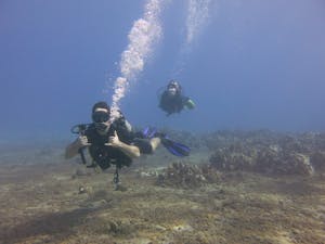 Maui scuba divers showing improved air consumption.