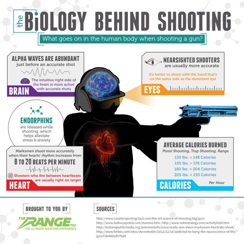 Biology Behind Shooting Infographic