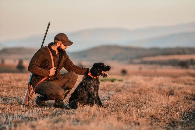 How to Train a Hunting Dog | The Range 702 Las Vegas