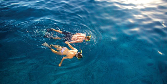 Maui Snorkeling Molokini Snorkeling Tours In Wailiea Hi