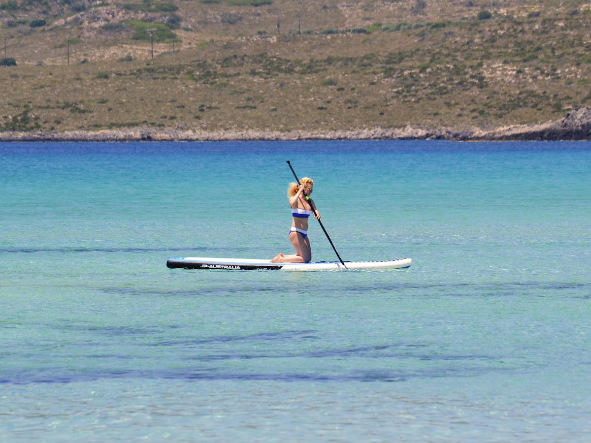 Stand up paddleboard