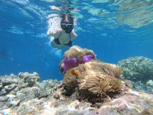 Beginners Guide To A Great Snorkeling Experience In Maui