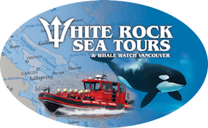 White Rock Sea Tours and Whale Watch Vancouver