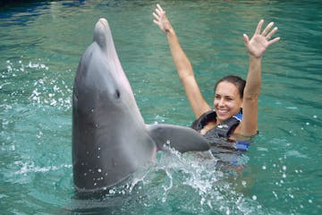 girl playing with dolphin
