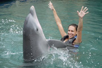 girl playing with dolphin