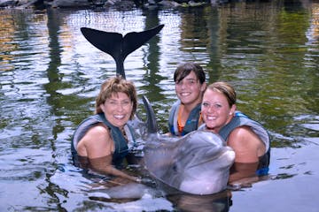family with dolphin