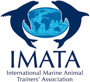 IMATA Logo