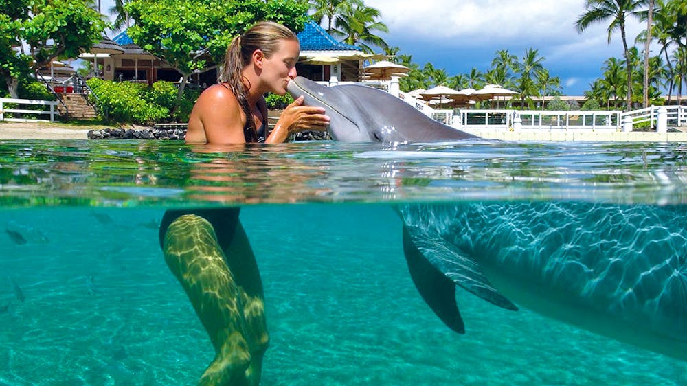 woman kissing dolphin