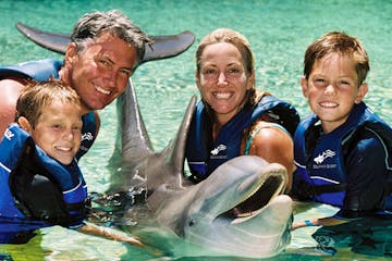 family with dolphin