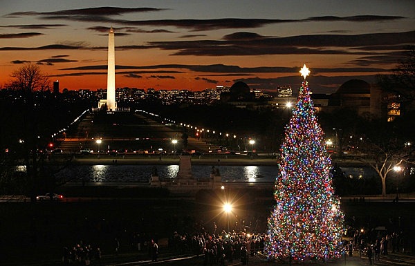 The-U.S.-Capitol-Christmas-Tree