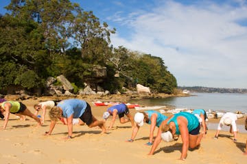 People doing yoga fitness