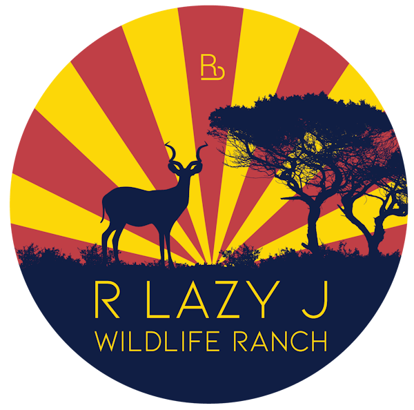 R Lazy J Ranch Safari Zoo Arizona Things To Do In Pinetop Az