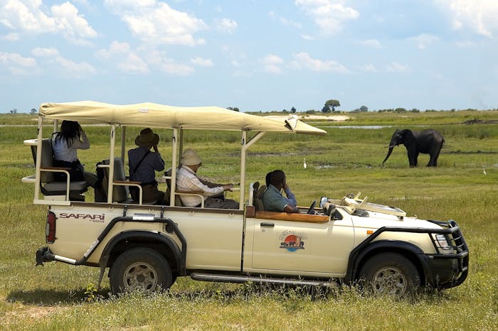 Chobe Day Trip from Victoria Falls | Tamuka Travel