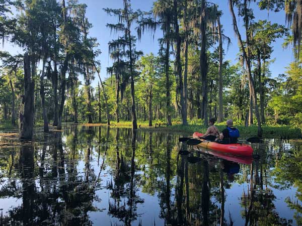 Manchac Swamp Kayak Tour Mystic Wildlife | New Orleans Kayak Swamp Tours