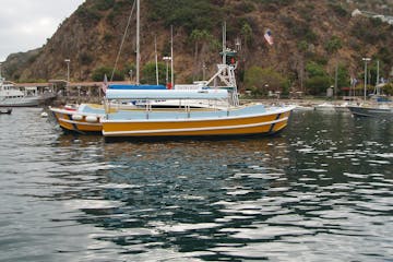 One of the Avalon Shoreboats sitting int he harbor