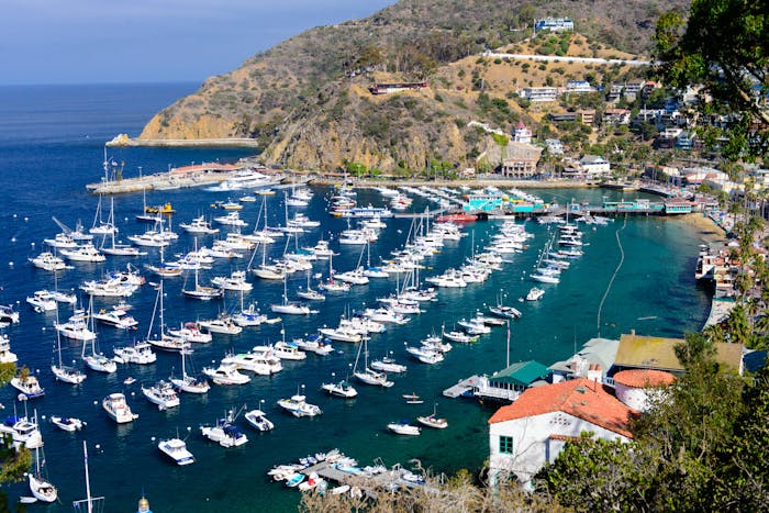 catalina island self guided tours