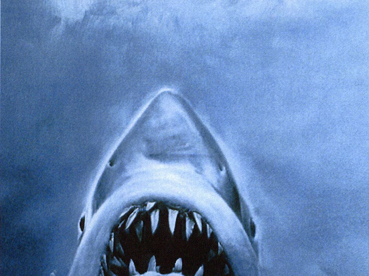 The Jaws book cover