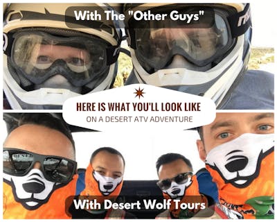 Desert Wolf Tours No Helmet