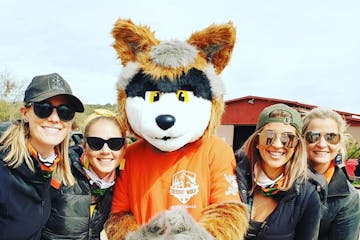 Sunny the Desert Wolf with adventurous guests