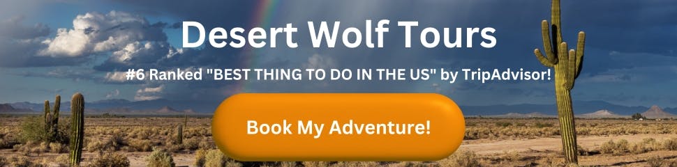 Desert Wolf Tours ATV Tours