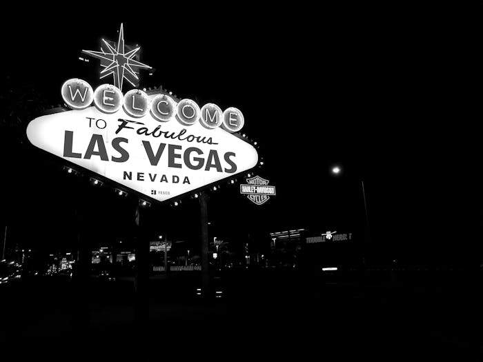 Las Vegas Party Bus Day Club Crawl Nocturnal Tours Tripster