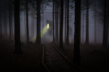 spooky cabin in foggy woods