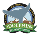 Dolphin Jet Boat Tours