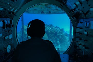 Cozumel Submarine Adventure