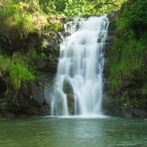 Waimea valley waterfall in tropical forest