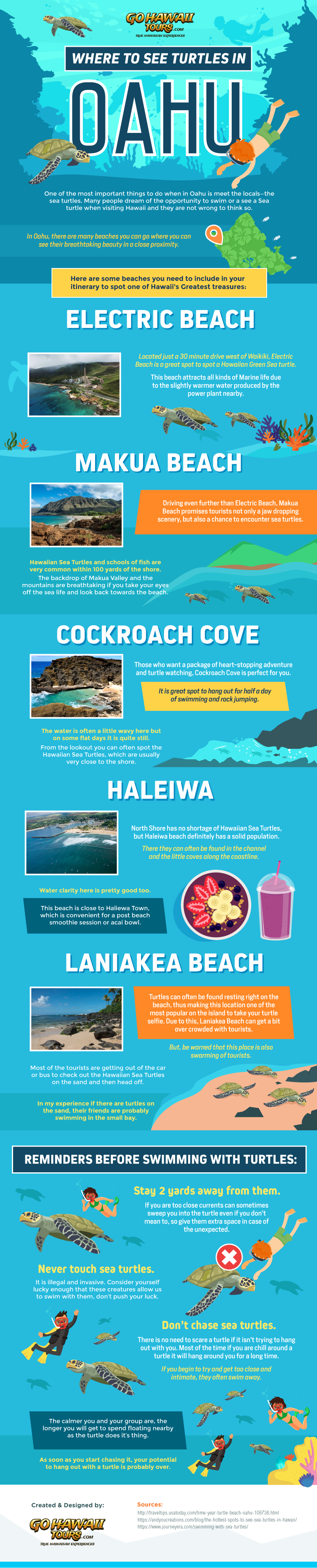 Where To See Turtles In Oahu -Infographic Image