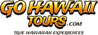 Go Hawaii Tours