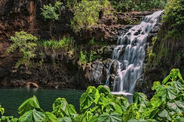a waterfall surrounded by green leaves