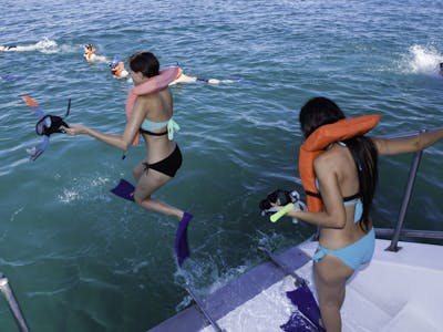 a group of people snorkeling