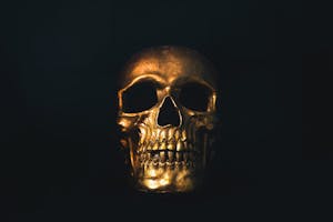 a skull in a dark room