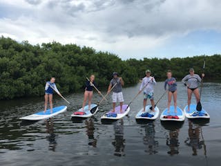 6 people standing up on paddle boards in the water