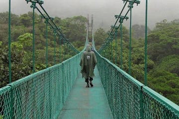 a man walking on hanging bridges